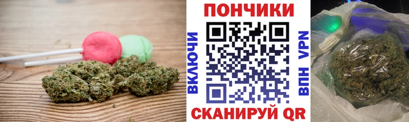 Cannafood конопля купить наркоту маркетплейс Telegram Бирюсинск